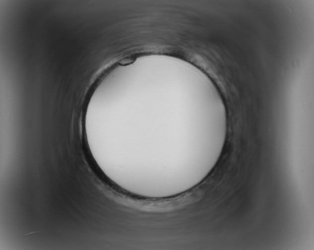 X0000086240011200704191831