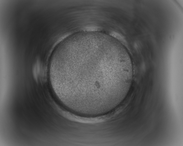 X0000086240012200704191830