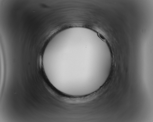 X0000086240013200704191830