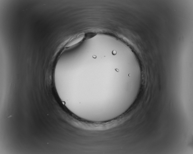 X0000086240015200704191830