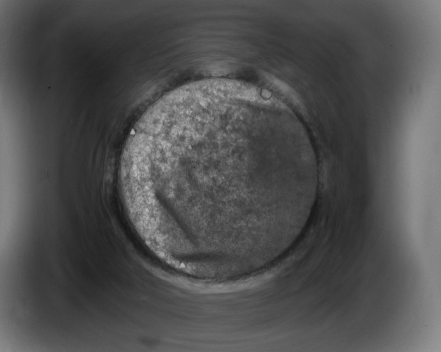 X0000086240018200704191830