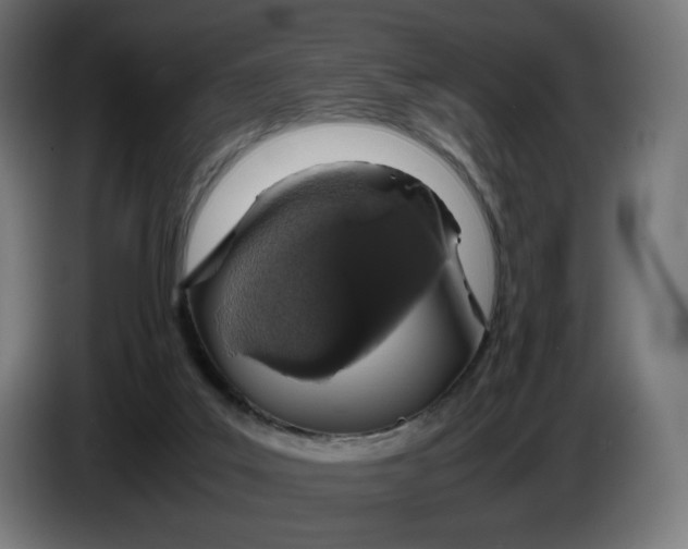 X0000086240019200704191830