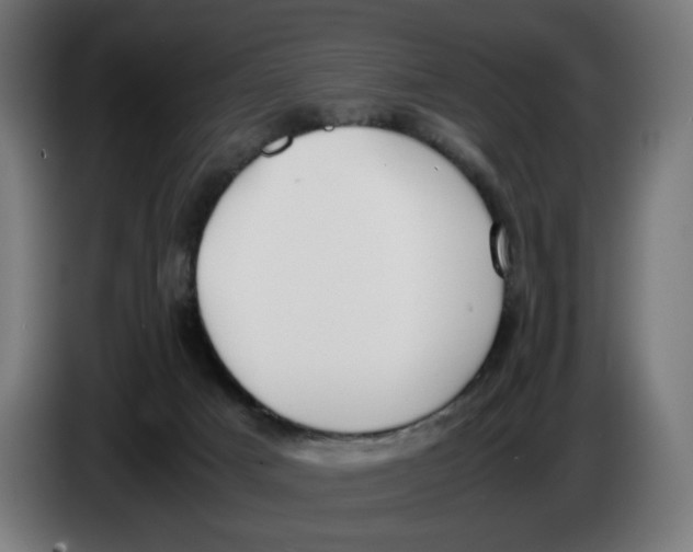 X0000086240025200704191830