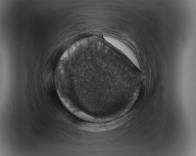 X0000086240029200704191830
