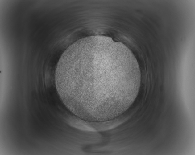 X0000086240030200704191830