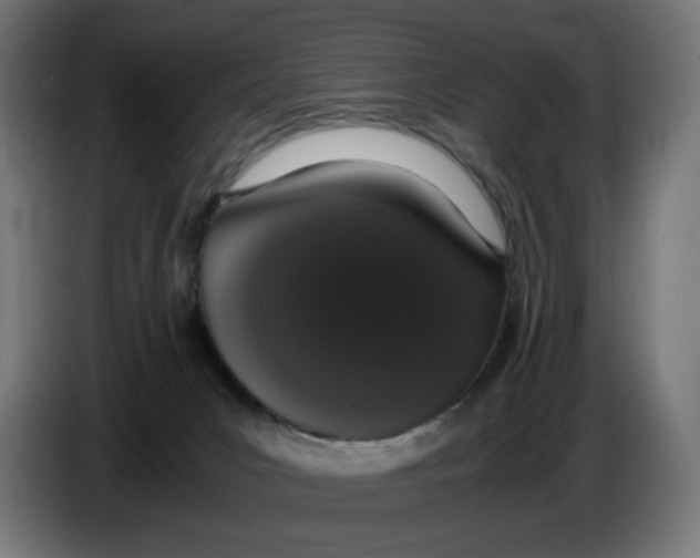 X0000086240031200704191830