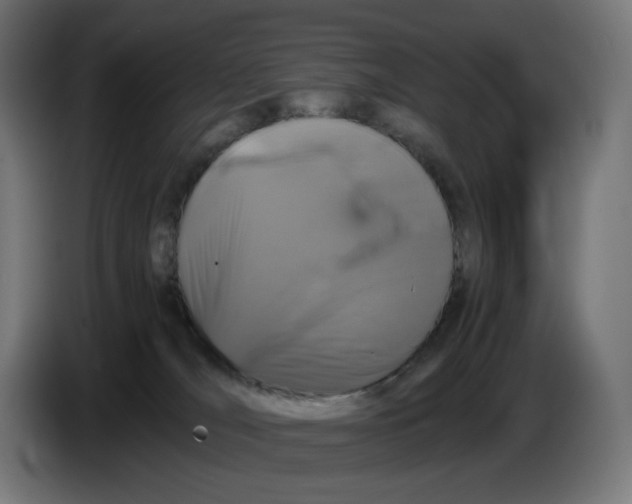 X0000086240036200704191830