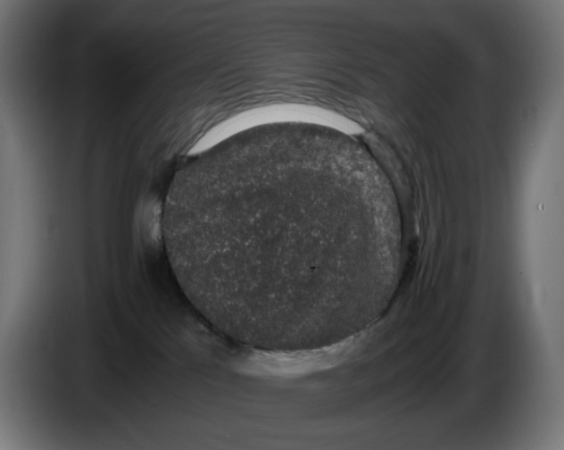 X0000086240041200704191830