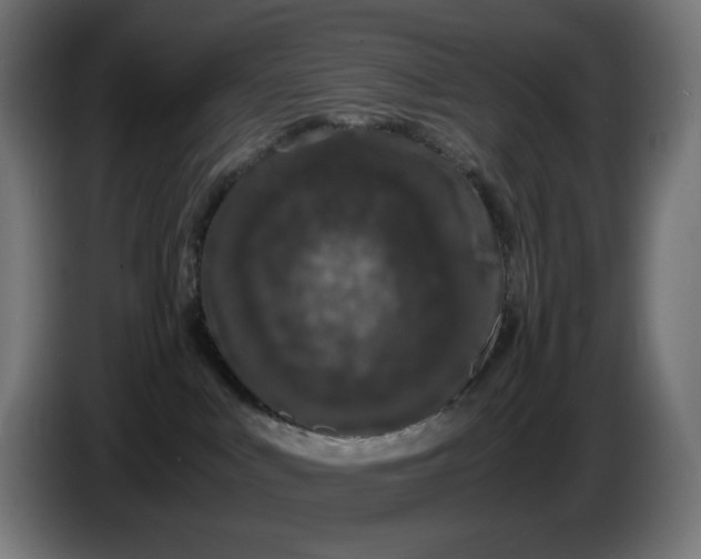 X0000086240043200704191830