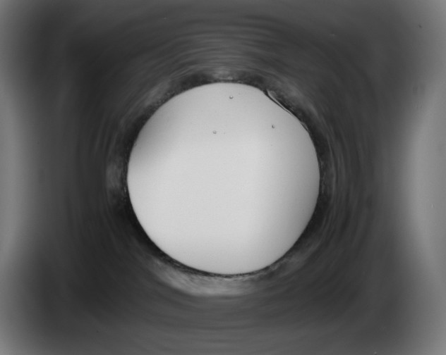 X0000086240044200704191830