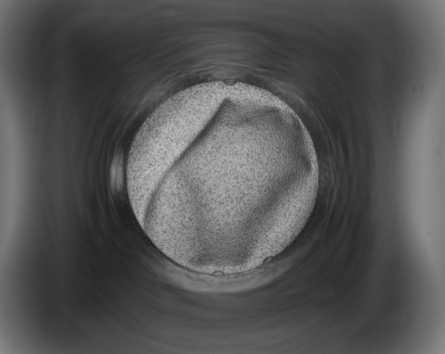X0000086240046200704191830
