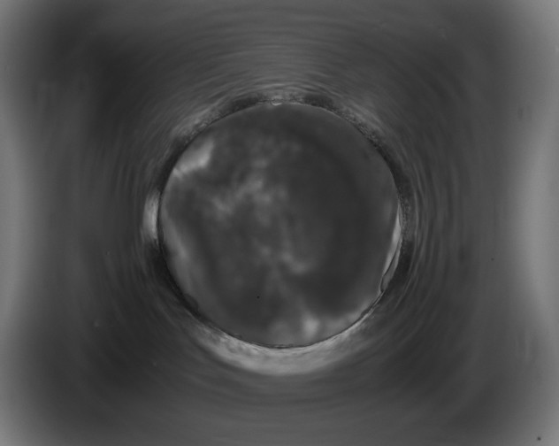 X0000086240047200704191830