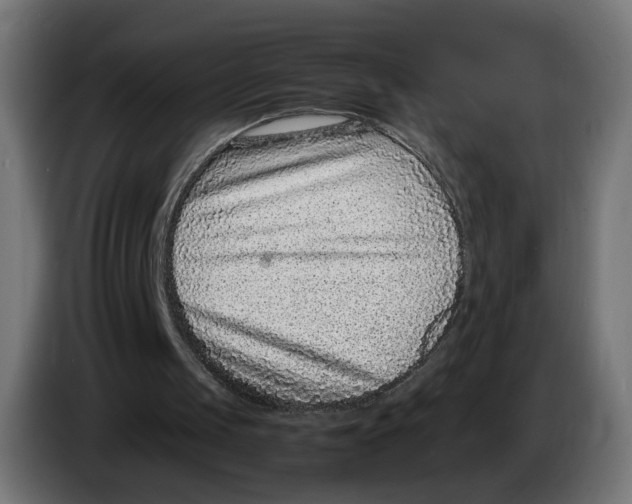 X0000086240049200704191829