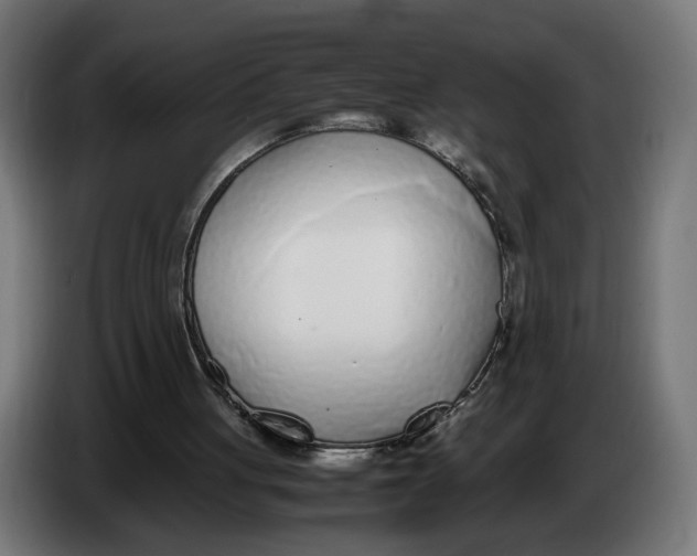 X0000086240051200704191829