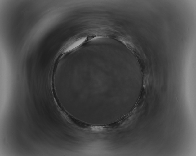 X0000086240052200704191829