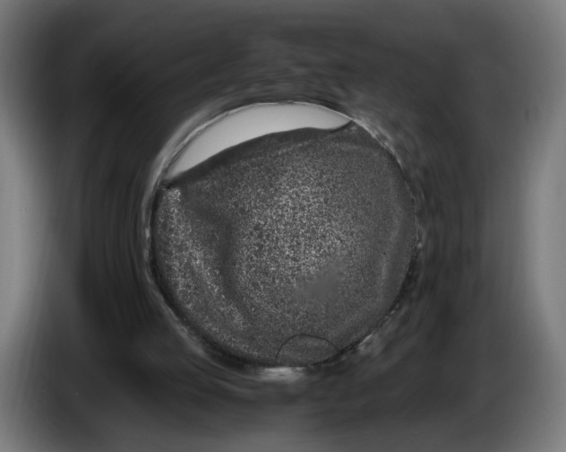 X0000086240053200704191829