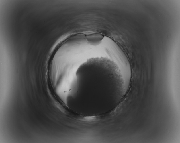 X0000086240054200704191829