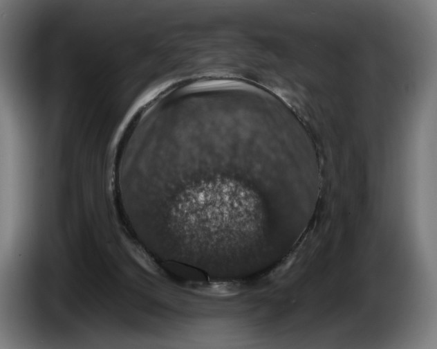 X0000086240056200704191829