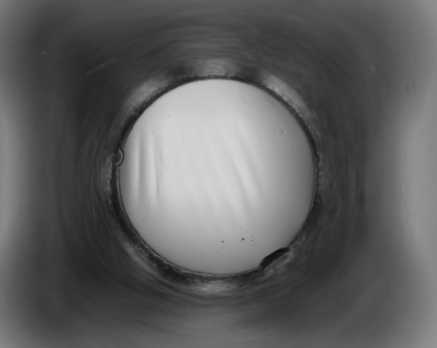 X0000086240058200704191829