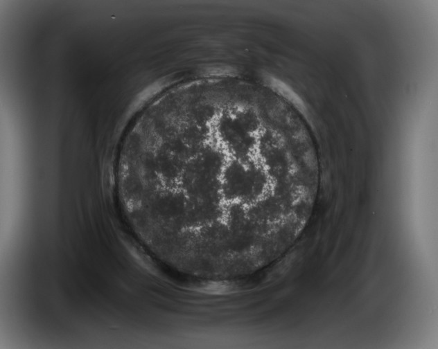 X0000086240059200704191829