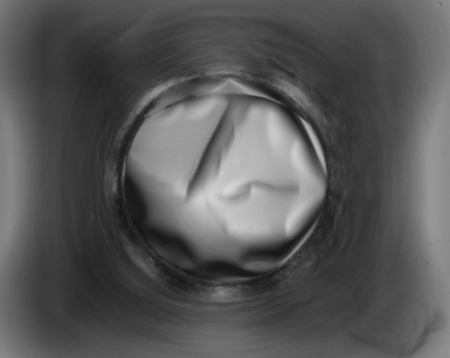 X0000086240060200704191829