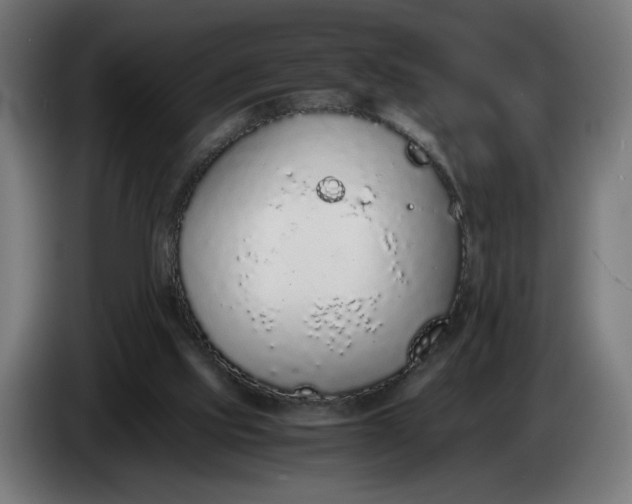 X0000086240061200704191830