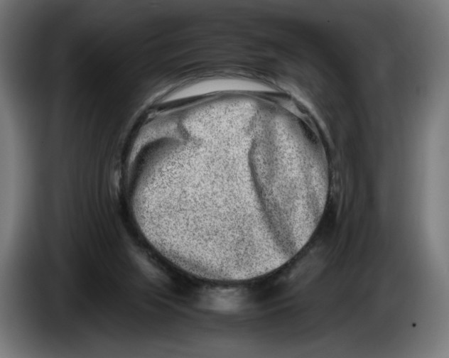 X0000086240063200704191830