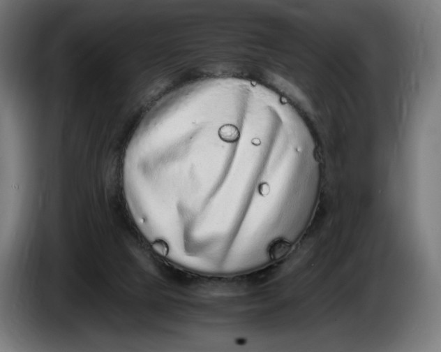X0000086240065200704191830