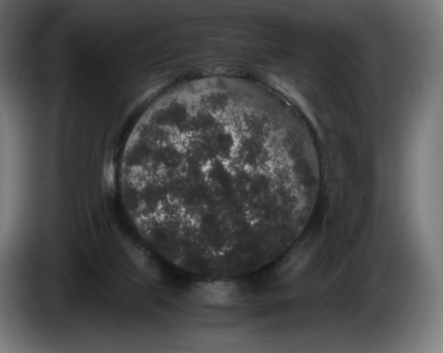 X0000086240067200704191830