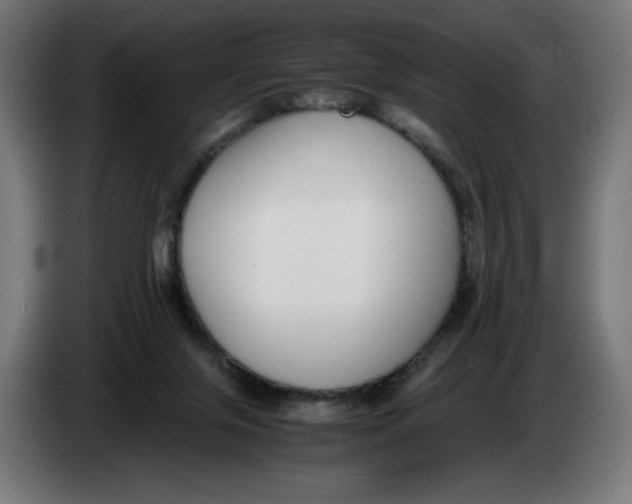 X0000086240071200704191830