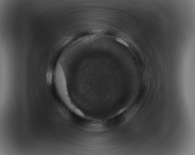 X0000086240076200704191830