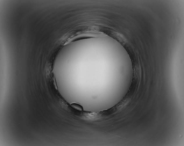 X0000086240092200704191830
