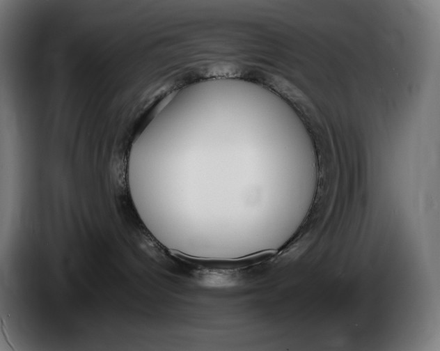 X0000086240096200704191830