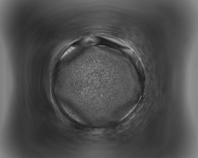 X0000086240097200704191829