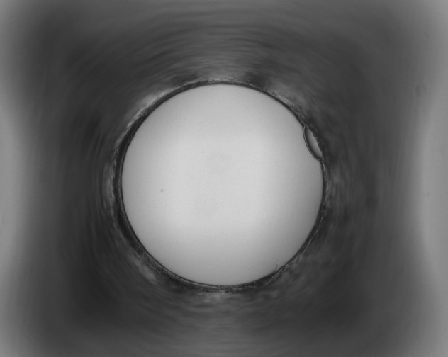 X0000086240098200704191829