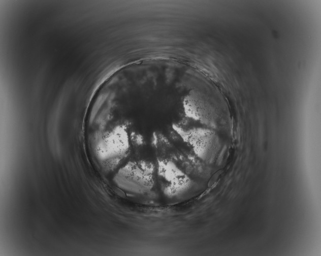 X0000086240099200704191829