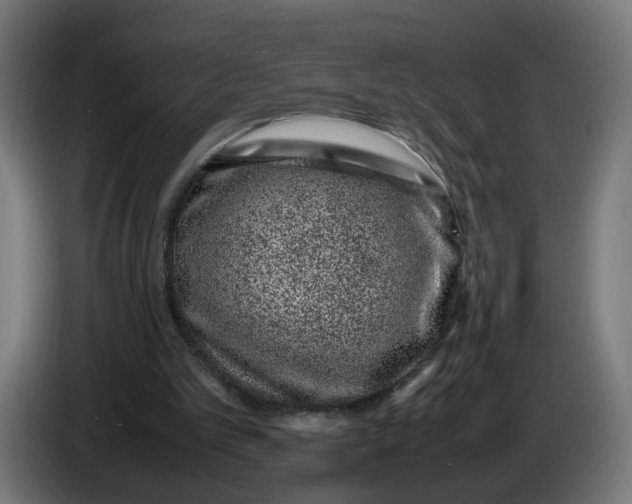 X0000086240101200704191829