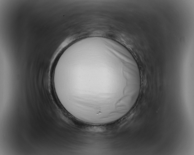 X0000086240102200704191829