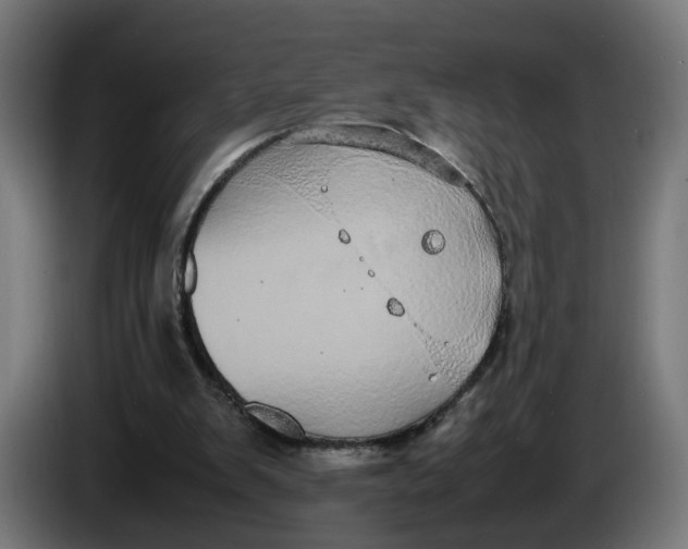X0000086240103200704191829