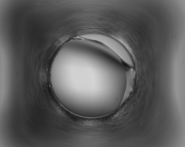 X0000086240105200704191829