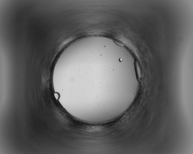 X0000086240107200704191829