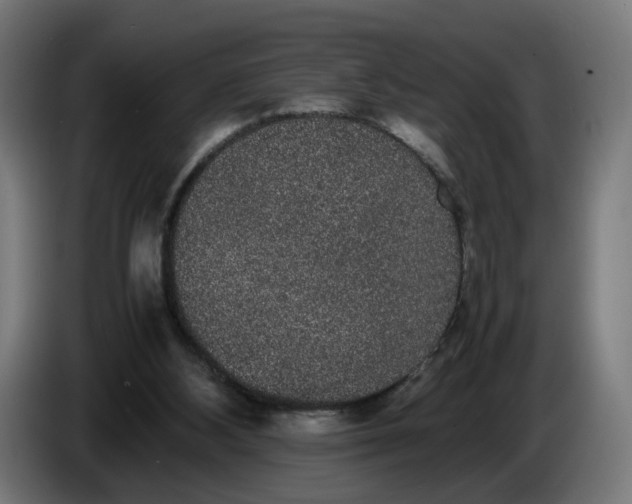 X0000086240108200704191829