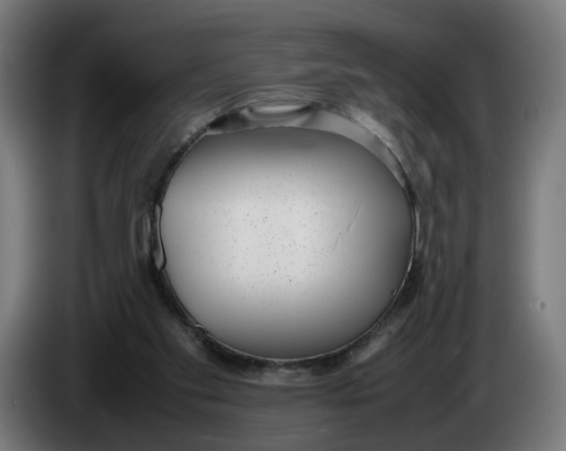 X0000086240109200704191829