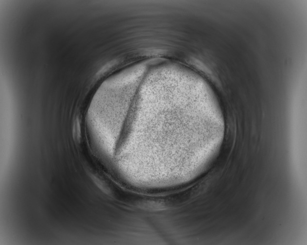 X0000086240110200704191829