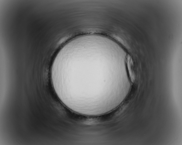 X0000086240111200704191829