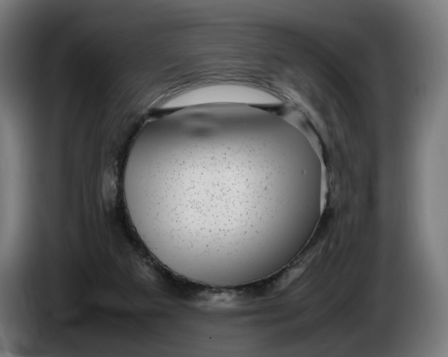X0000086240113200704191829