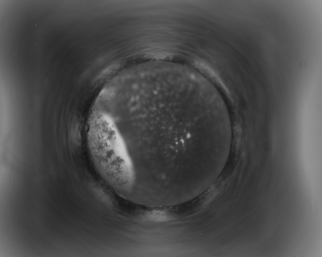 X0000086240114200704191829