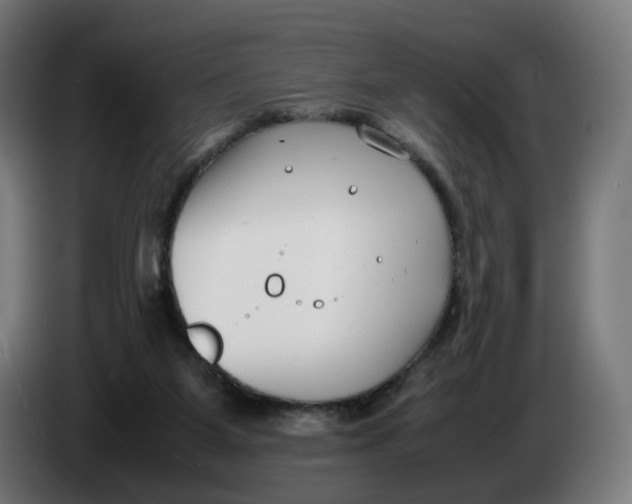 X0000086240115200704191829