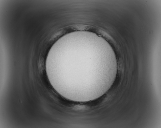 X0000086240119200704191829