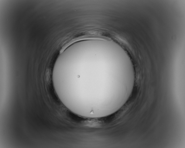 X0000086240121200704191829